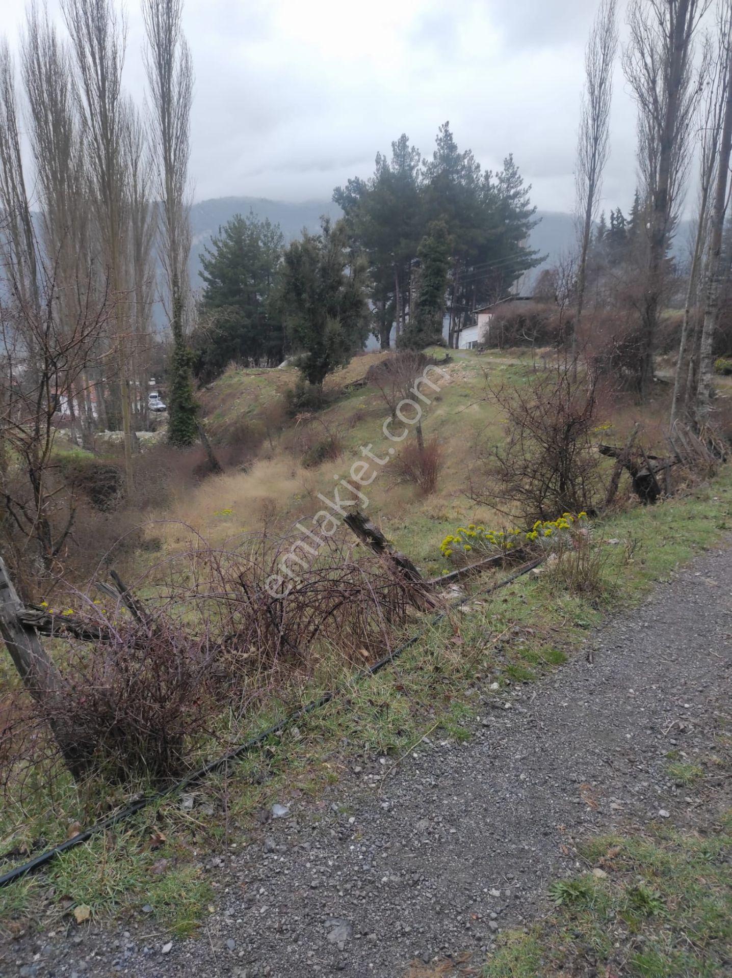 Çameli Akpınar Köyünde 2 Tapu 1582m2 Arazi - Görsel 4