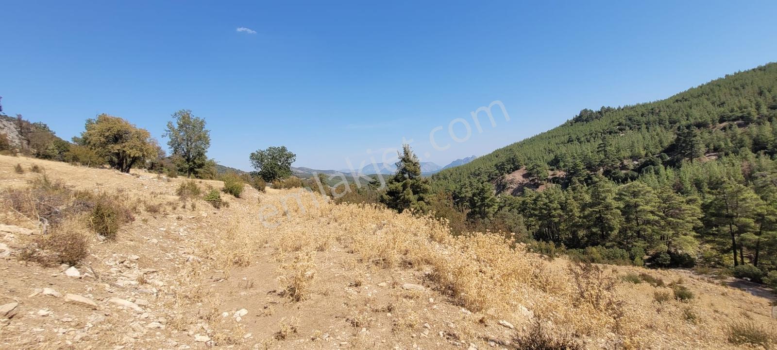 Korkuteli Güzle'de Uygun Fiyatlı 20 Dönüme Yakın Müstakil Tarla - Görsel 3