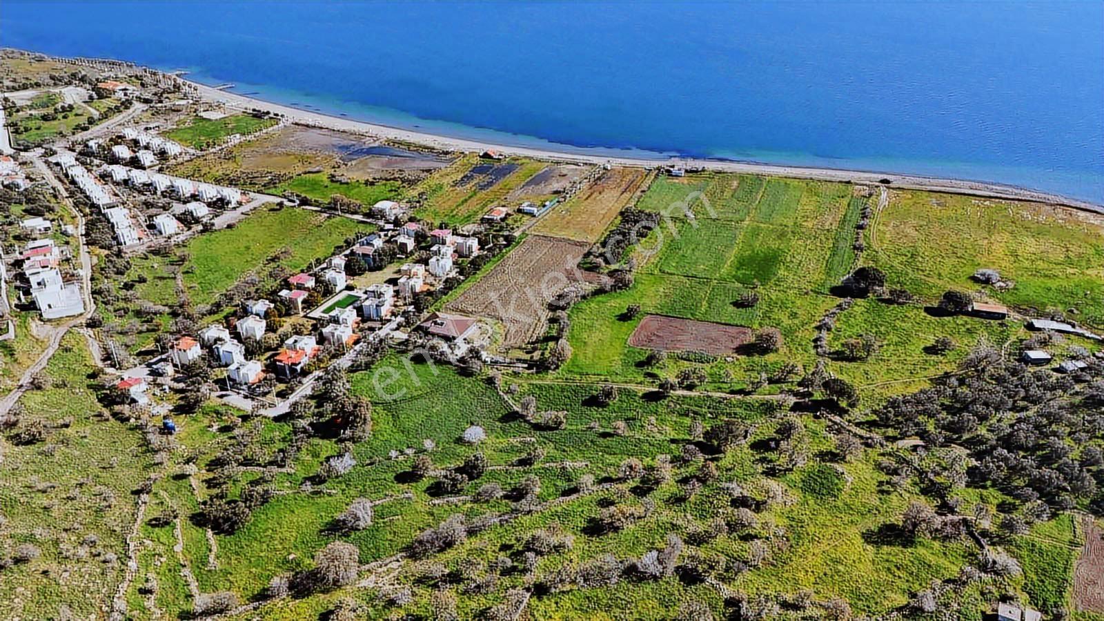 Turpa Arxesten Denizköy İmara Bitişik Tarla Satılıktır. - Görsel 20