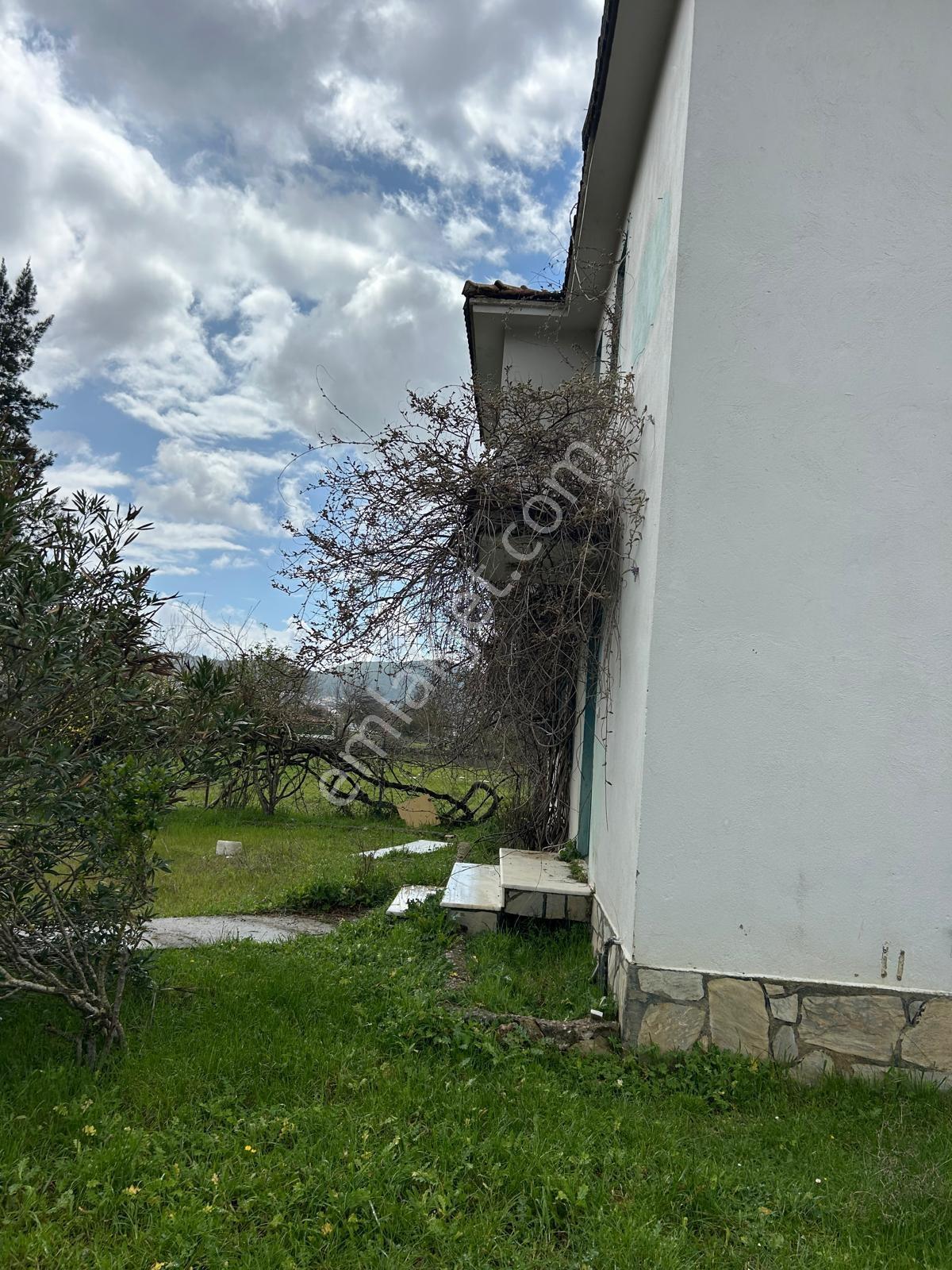 Ölü Deniz Ovacıkda Müstakil Ev Ve Arazisi - Görsel 10