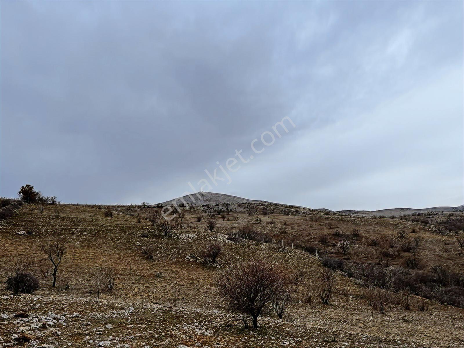 Kozaçta Zermeram Dibinde Manzaralı 1236m2 Satılık Arazi - Görsel 3