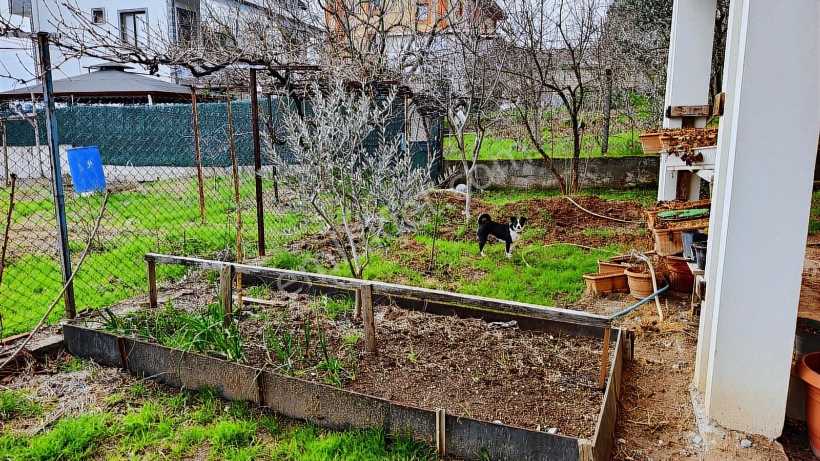 İzmit Mersincik Mahallesin'de 5+1 Müstakil Kiralık Villa - Görsel 10