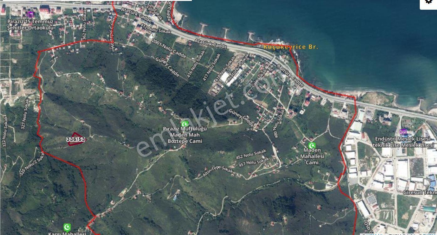 Piraziz Maden Mah.6920 M² Deniz Manzaralı Satılık Fındık Bahçesi - Görsel 2