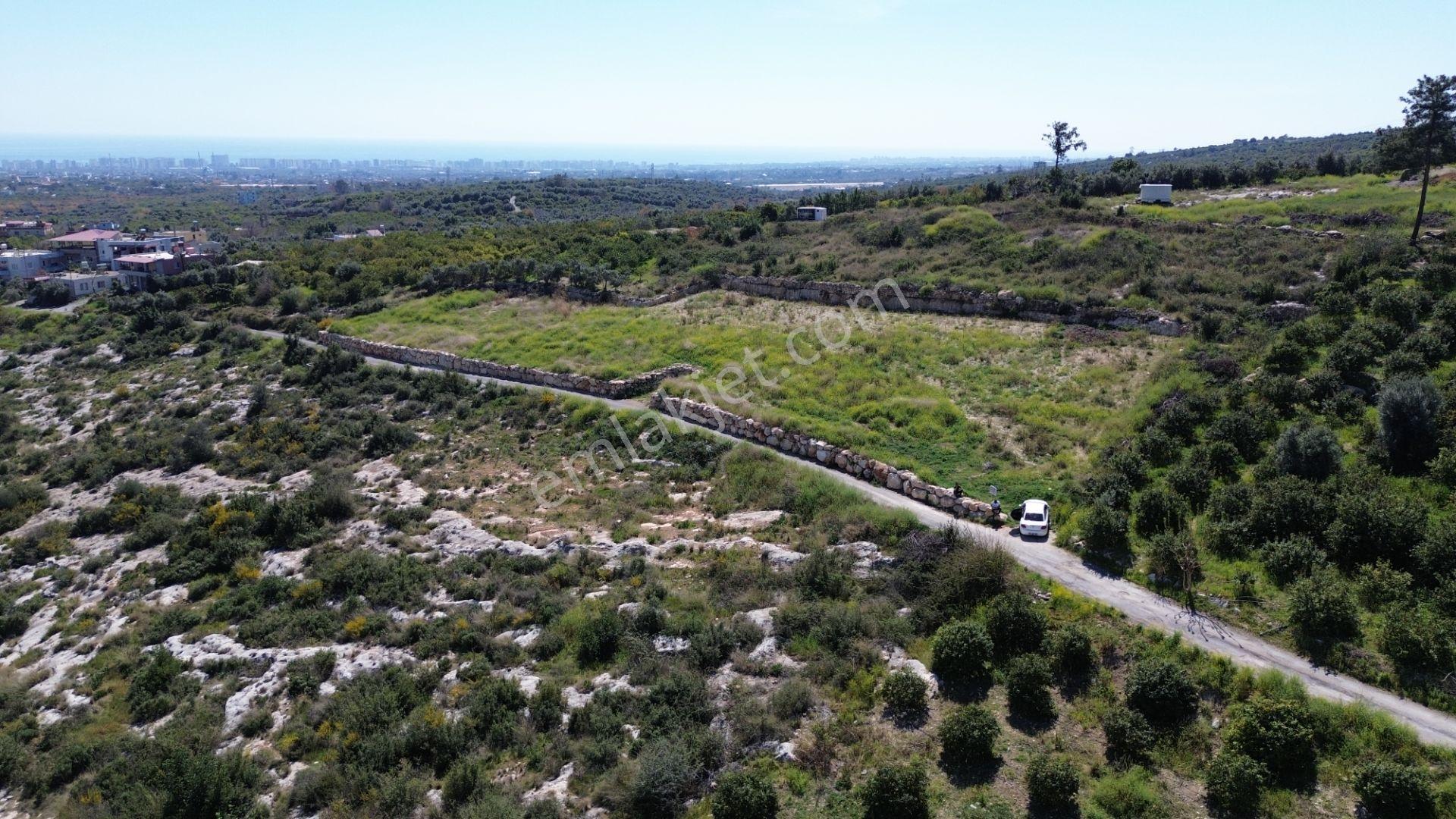 Mersin Erdemli'nin Pınarbaşı Mah. Satılık 3728 M2 Parsel - Görsel 10
