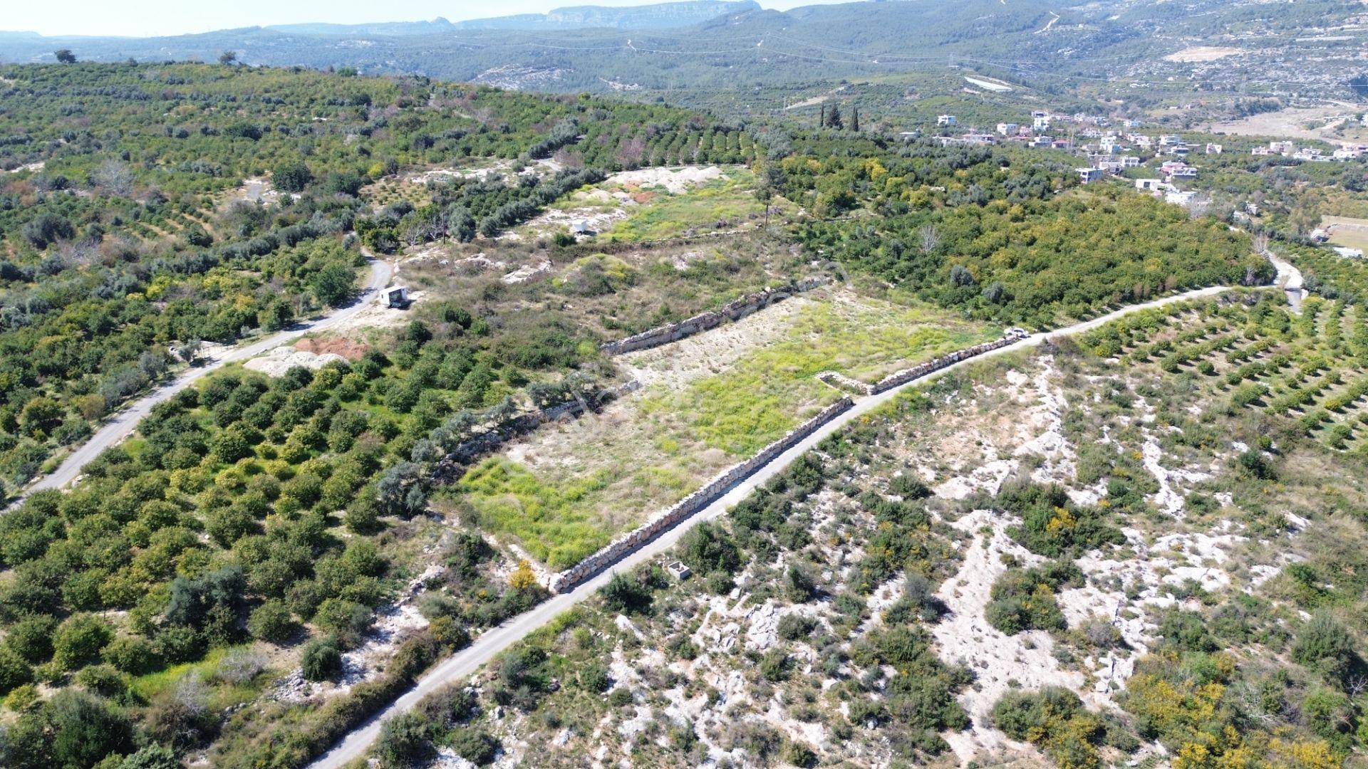 Mersin Erdemli'nin Pınarbaşı Mah. Satılık 3728 M2 Parsel - Görsel 12