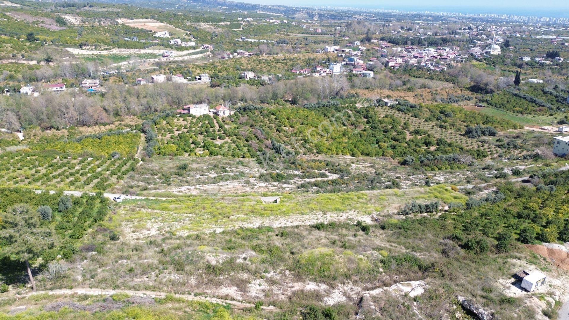 Mersin Erdemli'nin Pınarbaşı Mah. Satılık 3728 M2 Parsel - Görsel 13