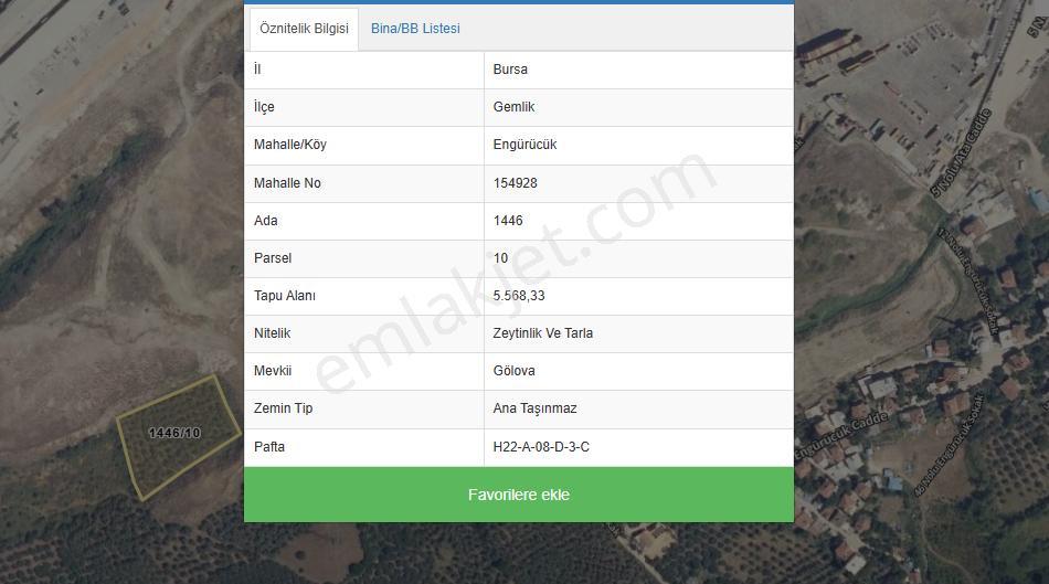 C21 Cius;satılık 5568 M² Zeytinlik - Gemlik Serbest Bölge - Görsel 6