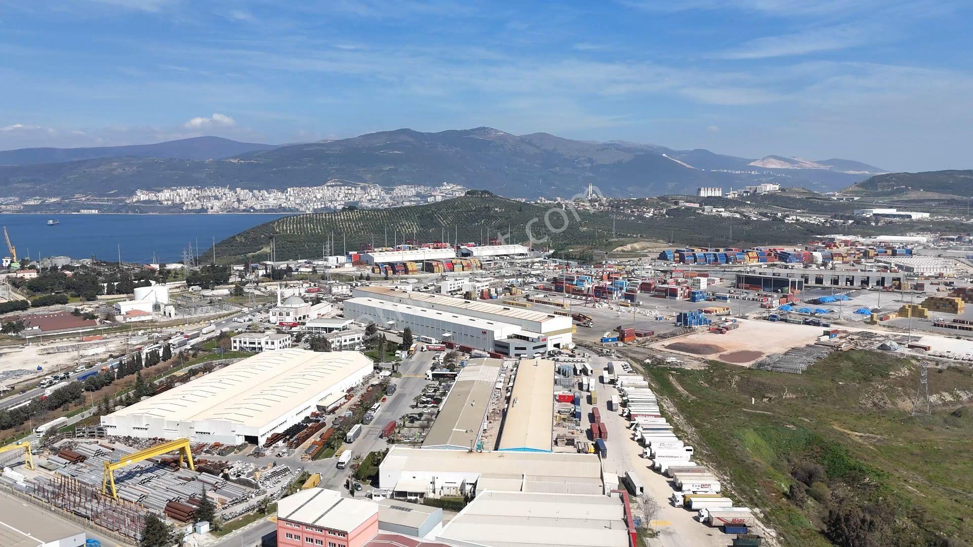 C21 Cius;satılık 5568 M² Zeytinlik - Gemlik Serbest Bölge - Görsel 5