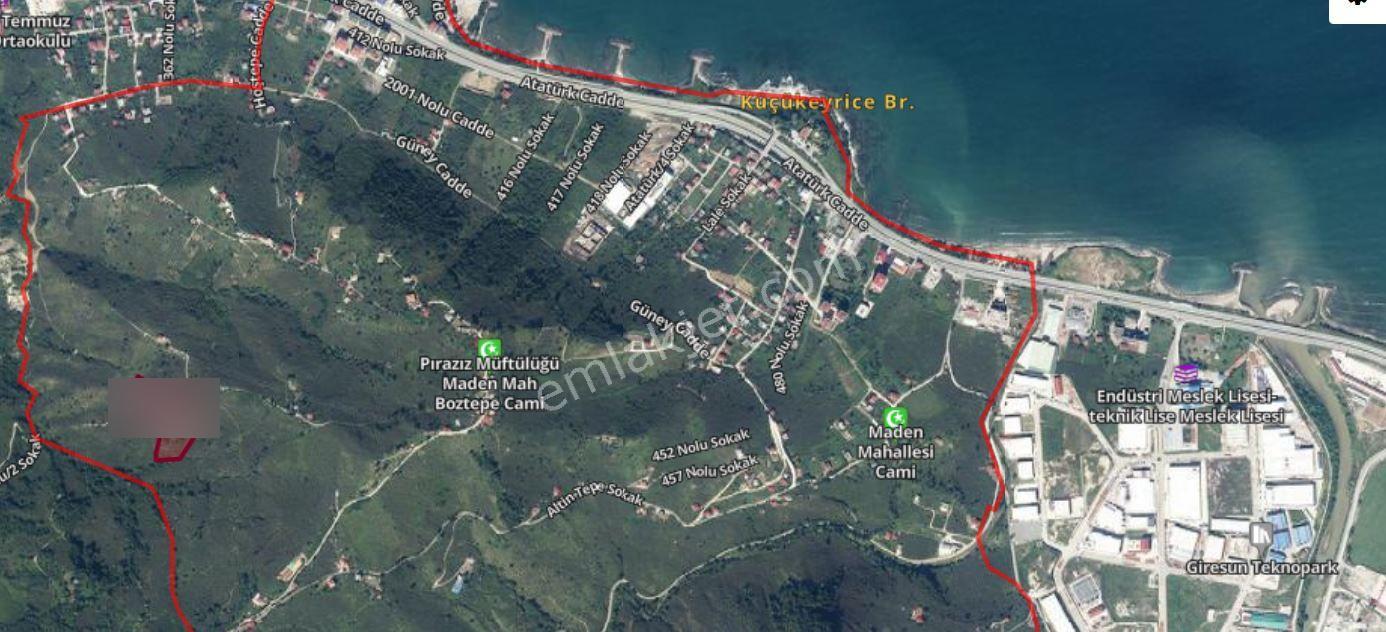 Piraziz Maden Mh.12.261 M²deniz Manzaralı Satılık Fındık Bahçesi - Görsel 2