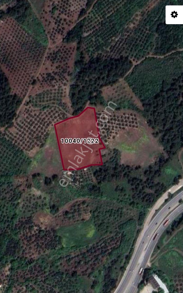 Dürdane'de 8097 M2 Satılık Tarla - Yola Cephe - Görsel 8