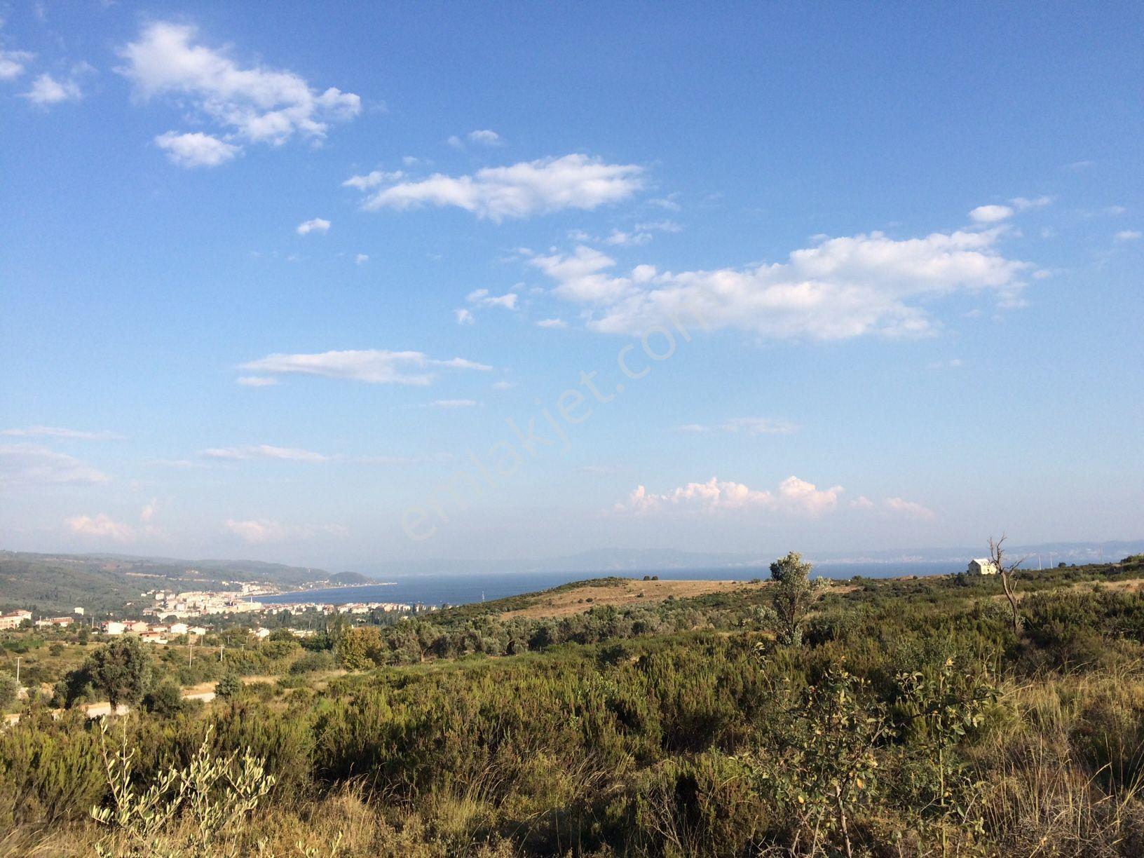 Karşıyaka Mah Villa İmarlı Arsa - Görsel 4