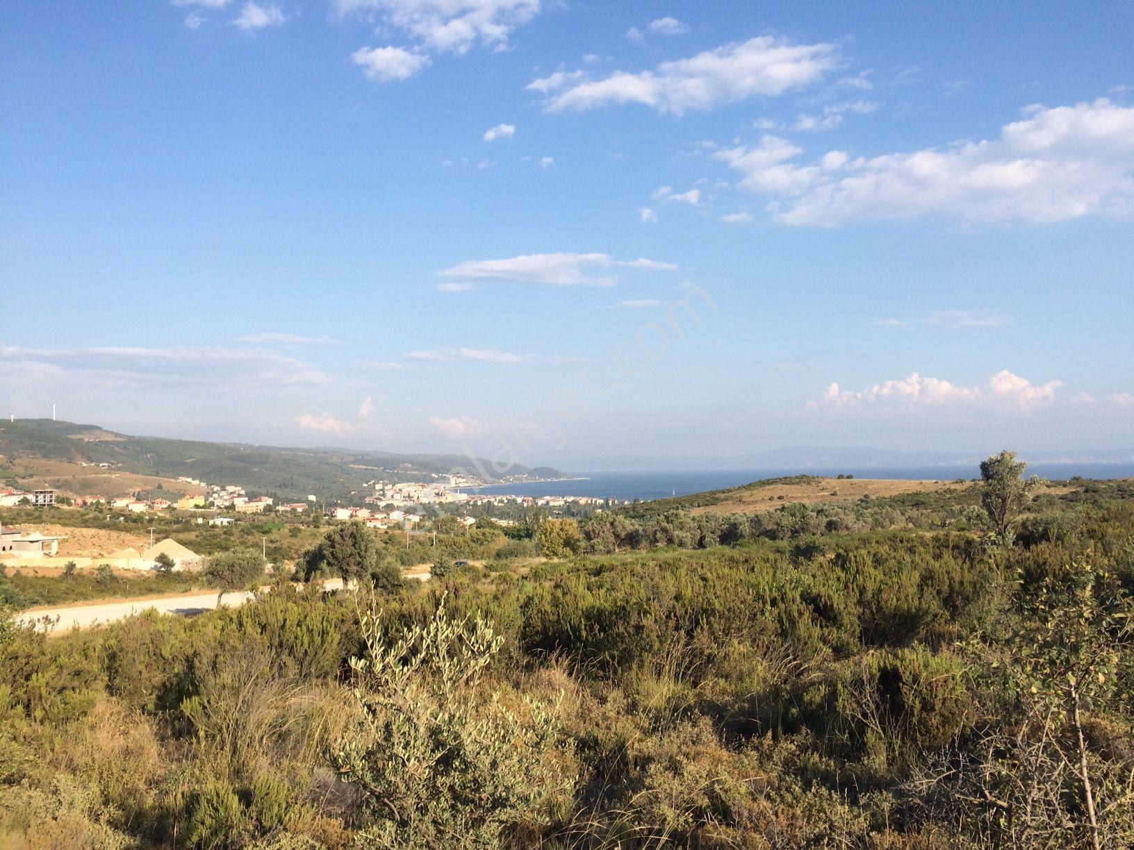 Karşıyaka Mah Villa İmarlı Arsa - Görsel 2