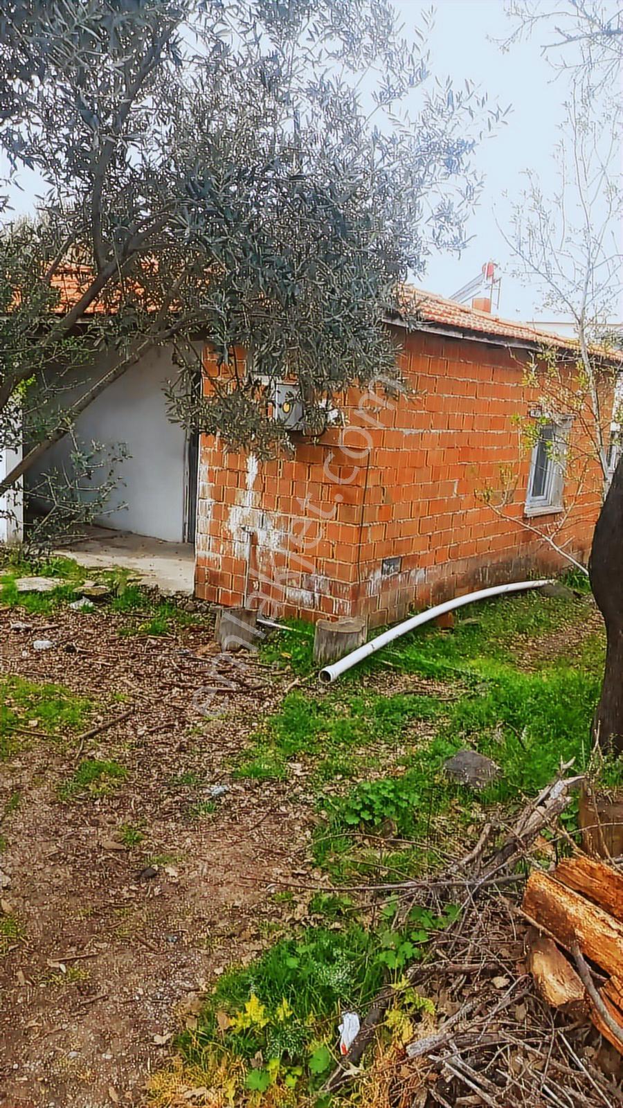 Turpa Arxesten Dikili Kıratlı Mahallesinde 2+1 Satılık Köy Evi - Görsel 4