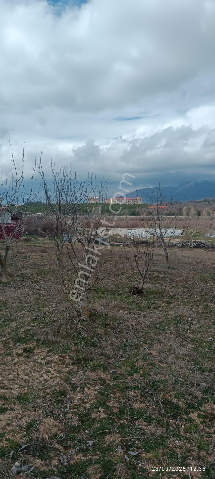 Satılık Bağevi Acill - Görsel 23