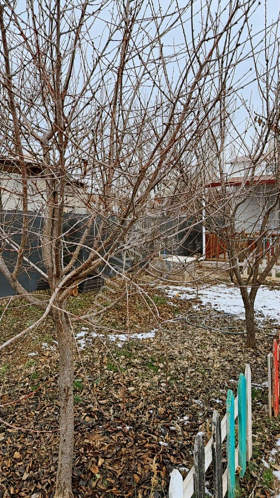 Yılmazer'den Doğalgazlı, Elektrik Su Aktif Caddede Yapılı Bahçe! - Görsel 5