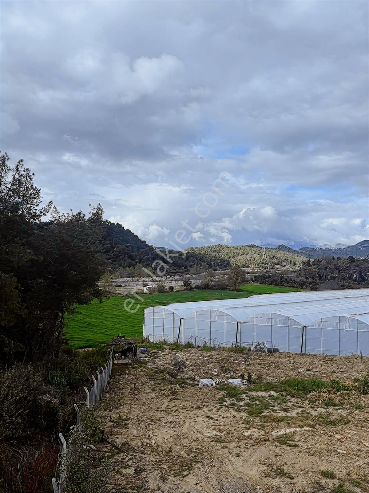 Manavgat Uzunlar Mahallesinde Tek Tapu 7857 M2 Tarla Satışta - Görsel 13