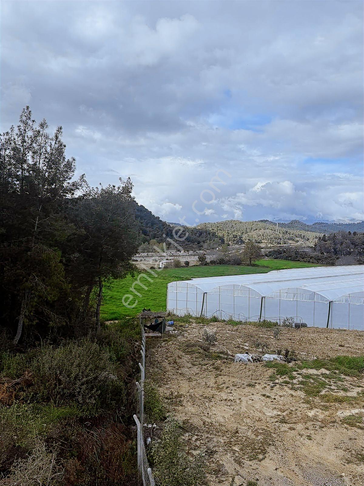 Manavgat Uzunlar Mahallesinde Tek Tapu 7857 M2 Tarla Satışta - Görsel 3
