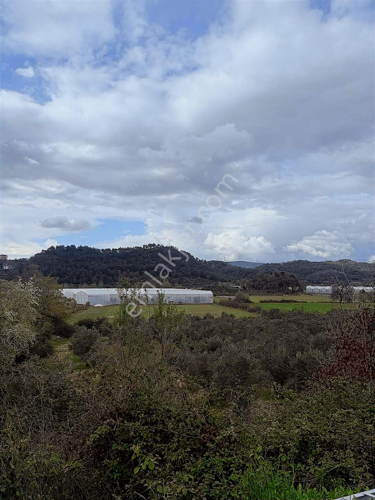 Manavgat Uzunlar Mahallesinde Tek Tapu 7857 M2 Tarla Satışta - Görsel 9