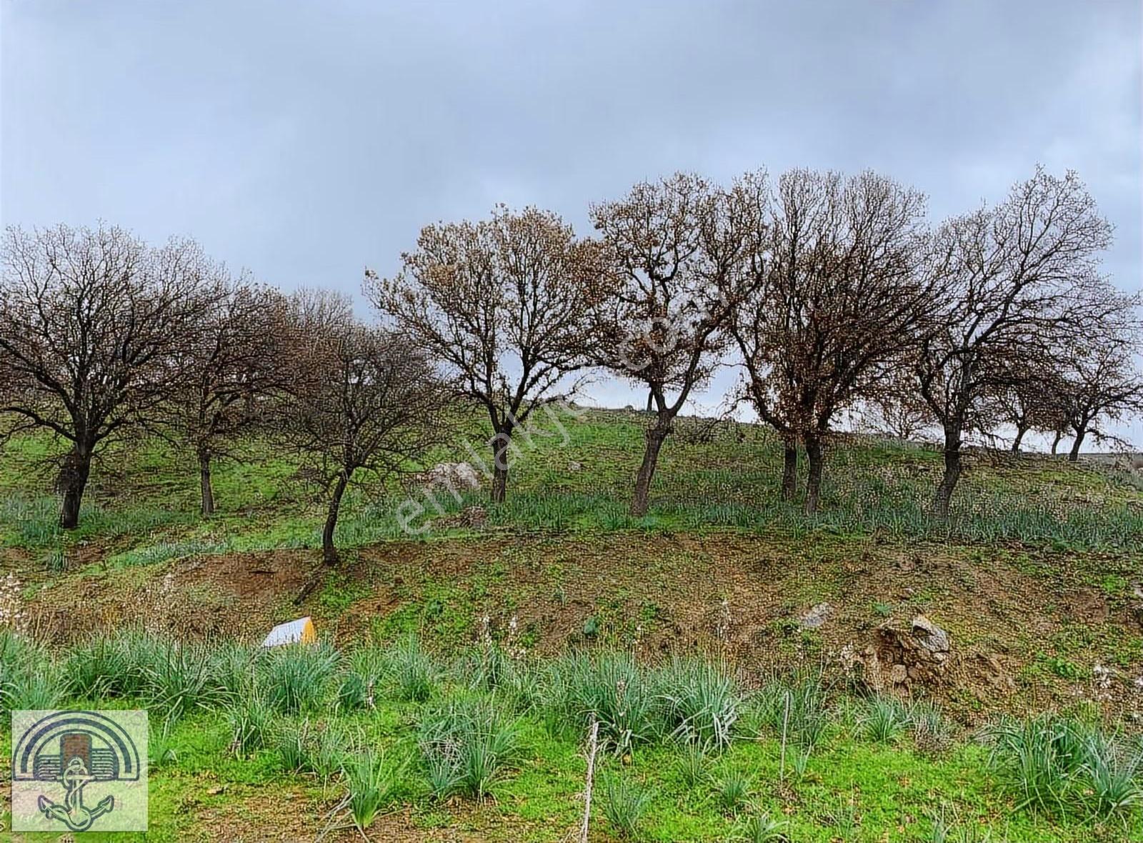 İzmir Seferihisarda Denize Yakın Satılık 309 M² Hisseli Arazi - Görsel 9