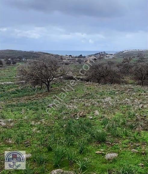 İzmir Seferihisarda Denize Yakın Satılık 309 M² Hisseli Arazi