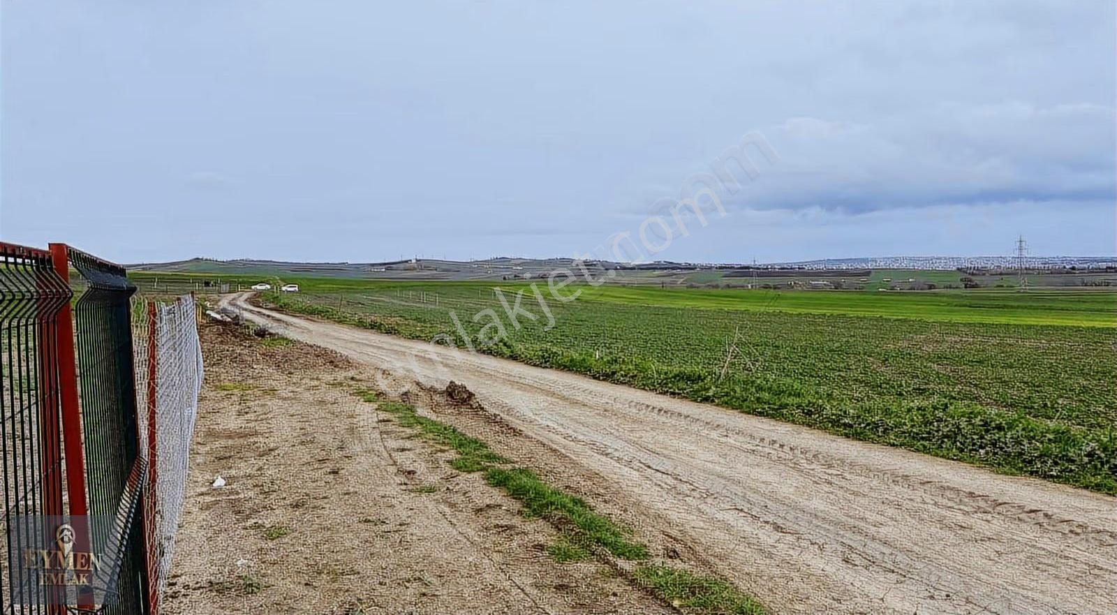 300metre İçinde Çevrili Hobi Bahçesi - Görsel 5