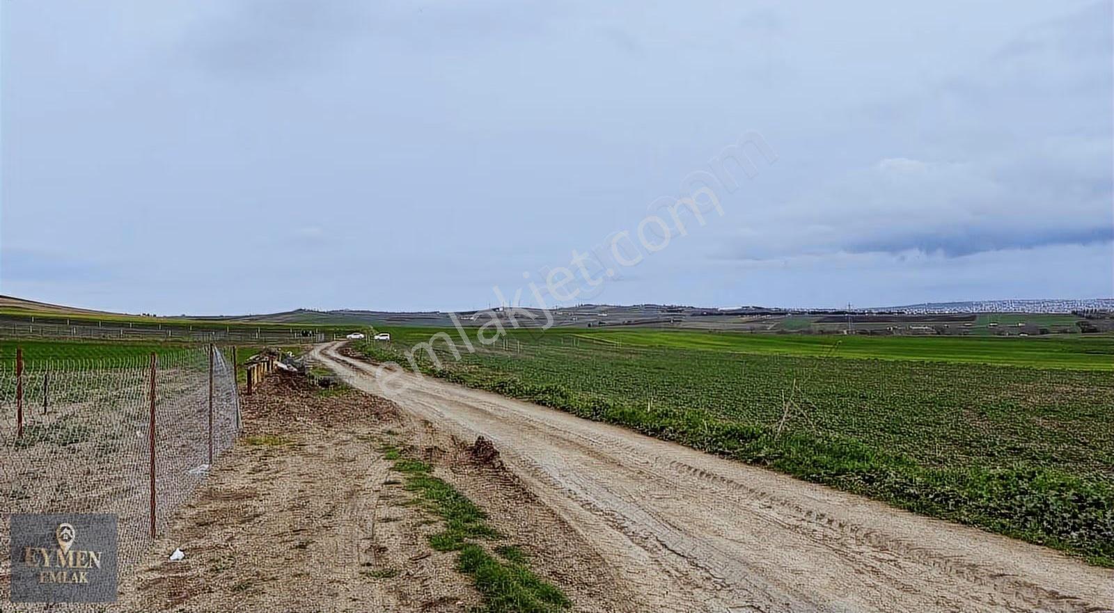 300metre İçinde Çevrili Hobi Bahçesi - Görsel 16