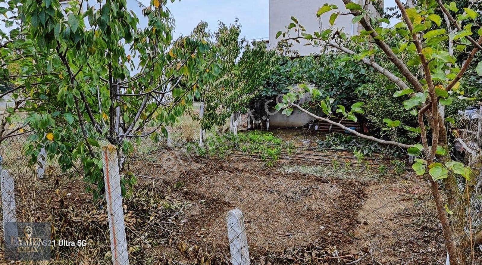 Şerefkentte Satılık 2 Adet Yan Yana Arsa - Görsel 8