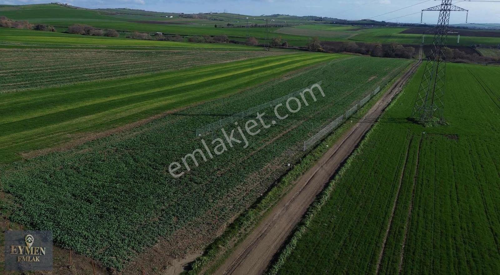 Deniz Manzaralı Tel Örgülü Mükkemmel Konumda Arsa - Görsel 5