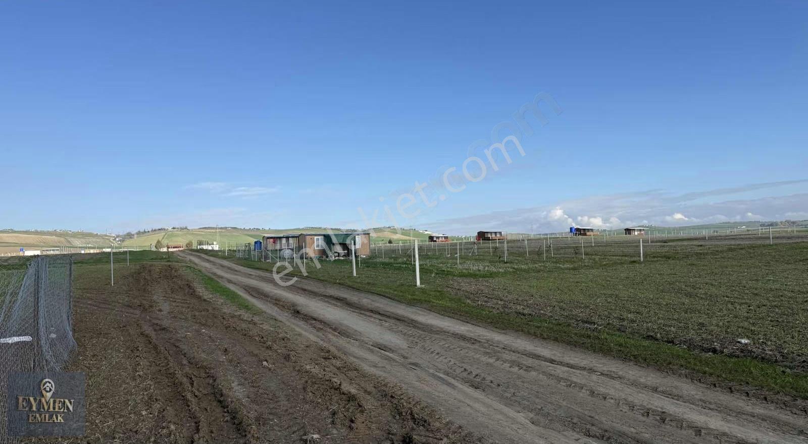 Çeşmelide 270 Metre Telle Çevrili Bungolov İçinde - Görsel 2
