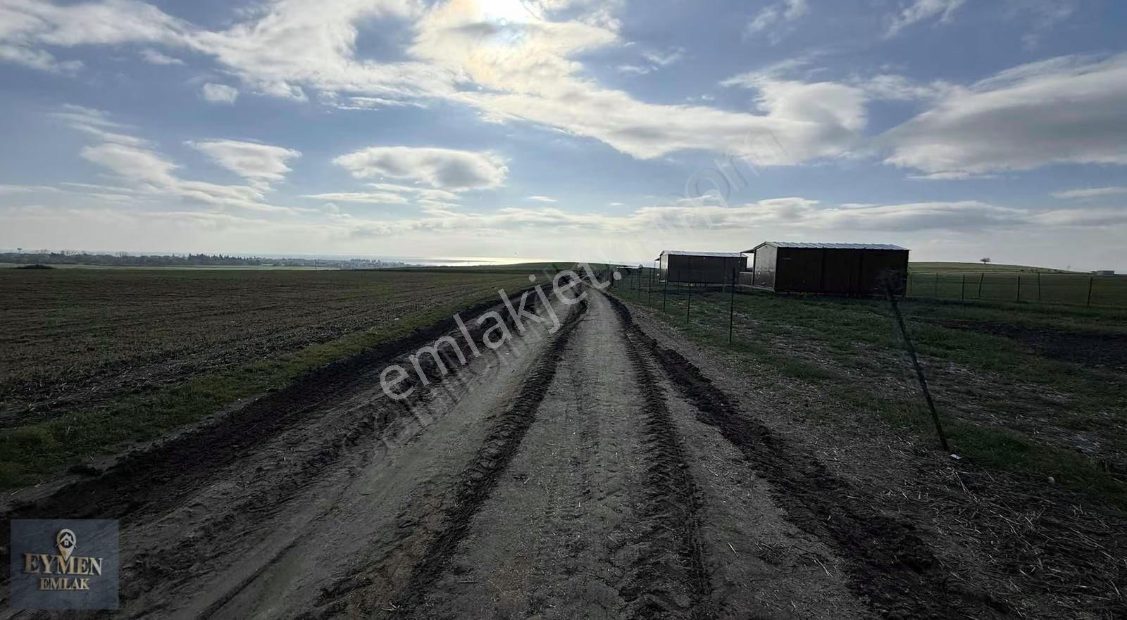 Çeşmelide 270 Metre Telle Çevrili Bungolov İçinde - Görsel 11