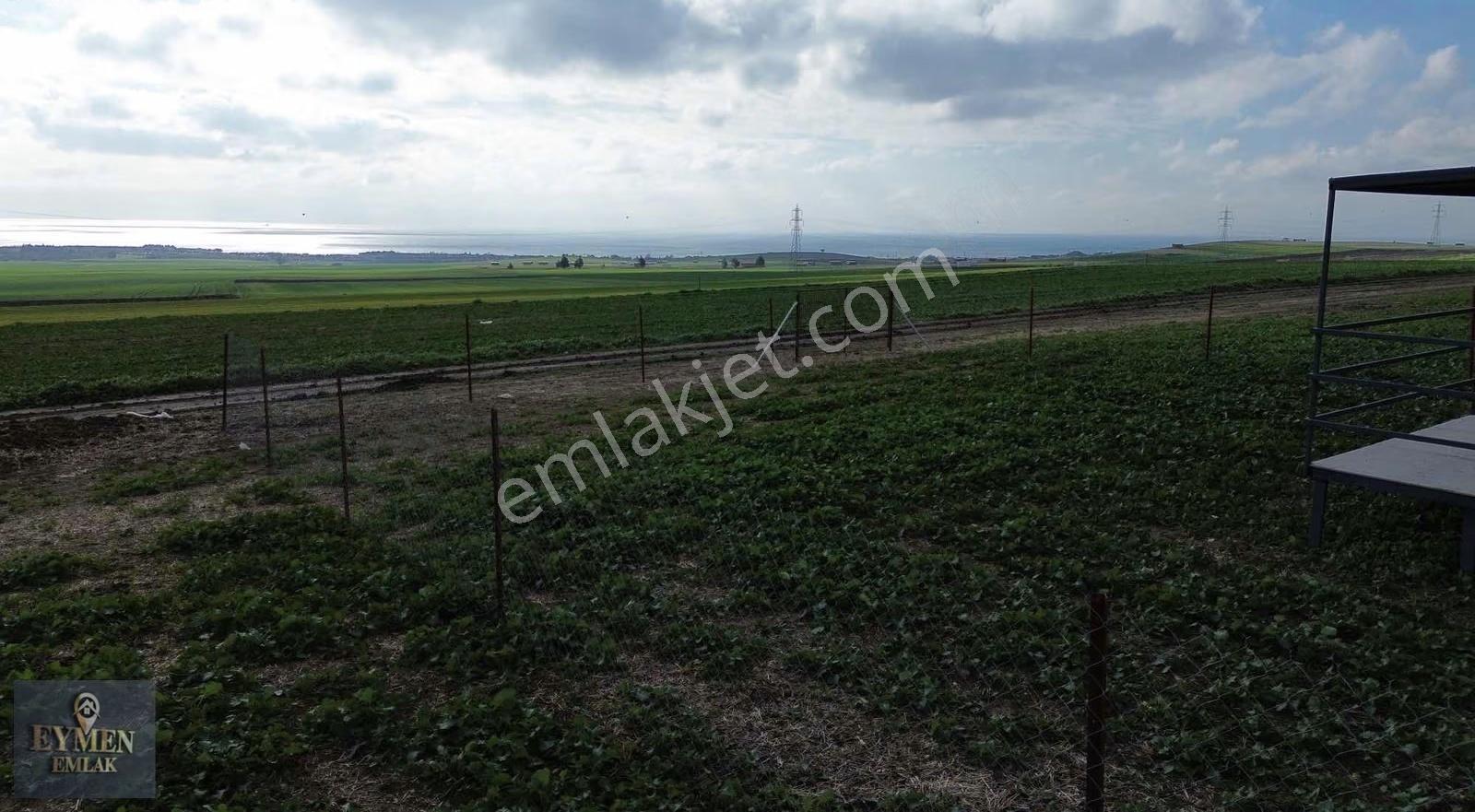 450 Metre İçerisinde 1+1 Konteynır Telle Çevrili Yer - Görsel 9