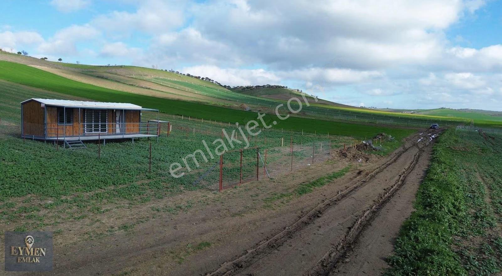 450 Metre İçerisinde 1+1 Konteynır Telle Çevrili Yer - Görsel 5
