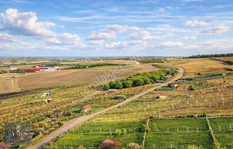 Yerleşimin İçinde Konteynırkent Toplu Yaşam Fırsatı - Görsel 5