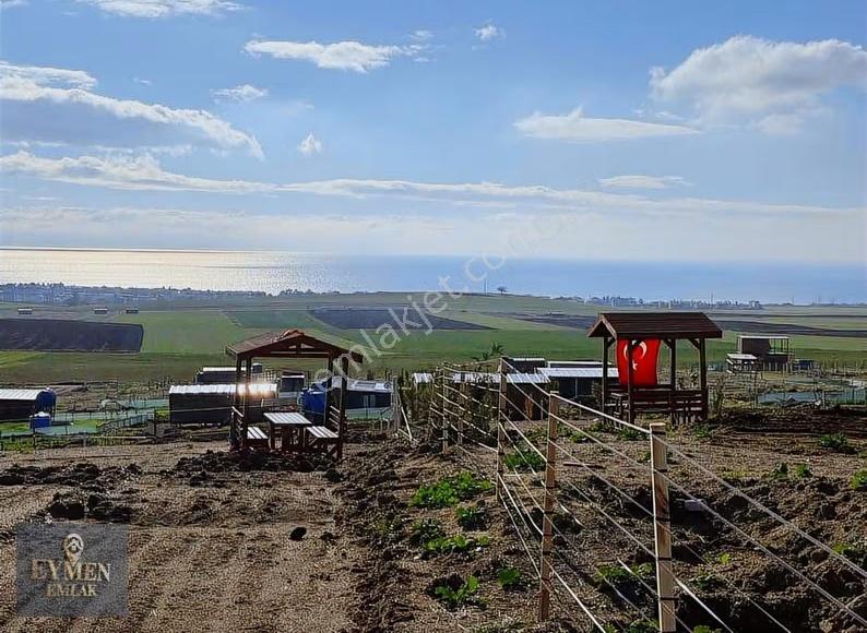 Firmamızın Son Kendi Yerleri İmarın Hemin Dibi Son Fırsat