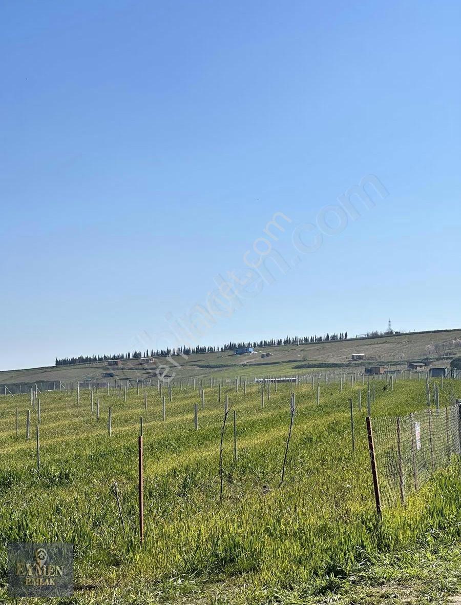 1880 M² Değer Artış Potansiyeli Yüksek Arsa - Görsel 5