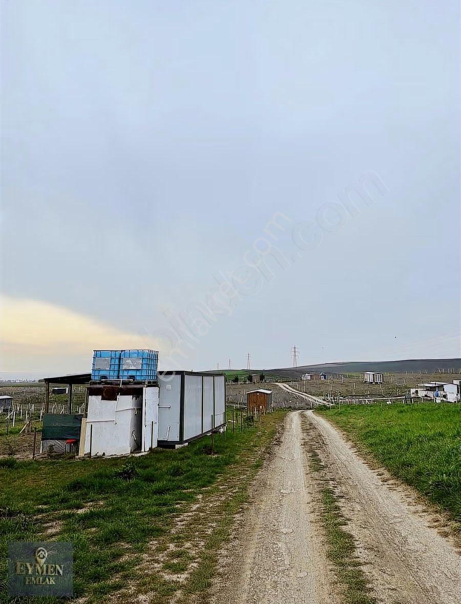 Şehrin Kalbinde, Sonsuz Deniz Manzarası 1+1 Konteynır+arsa - Görsel 4