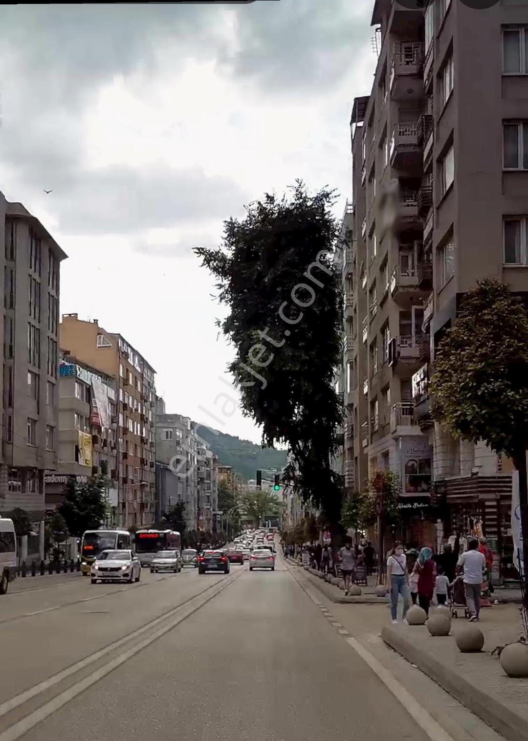 My Ekipdenbursa Osmangazi Altıparmak Caddesine Yakin Satilik Dükkan - Görsel 19