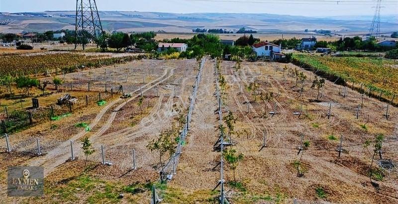 M.ereglisi Çeşmeli Köy İçi Çevrili - Görsel 6