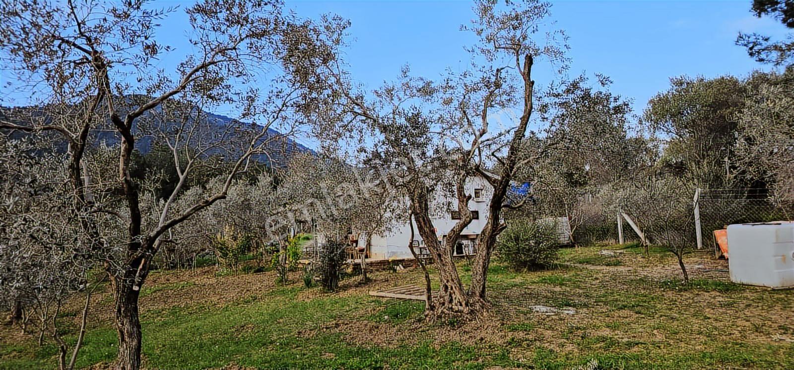 Kemalpaşa Armutluda Satılık Bahçelı Ev - Görsel 6