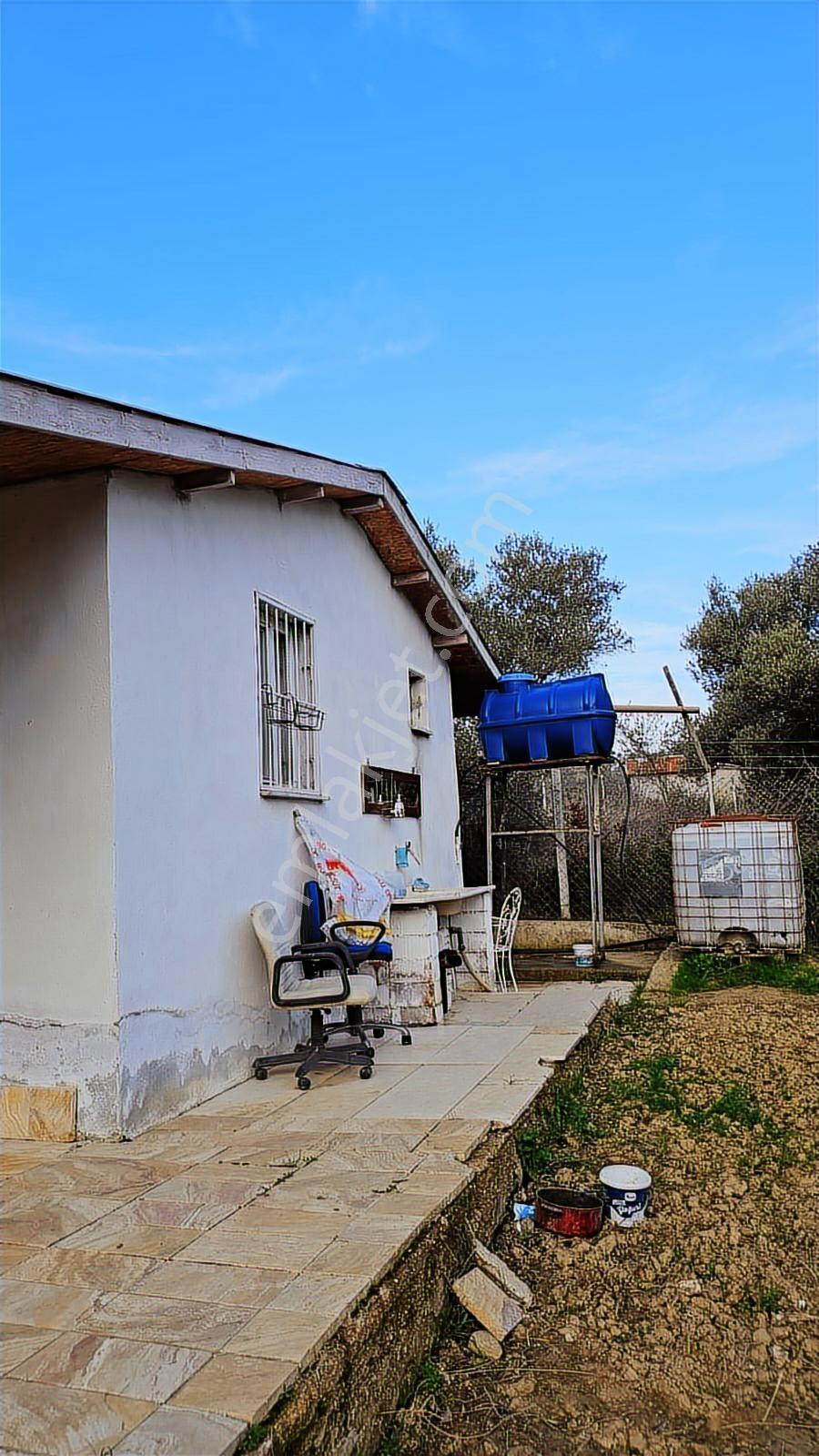 Kemalpaşa Armutluda Satılık Bahçelı Ev - Görsel 24