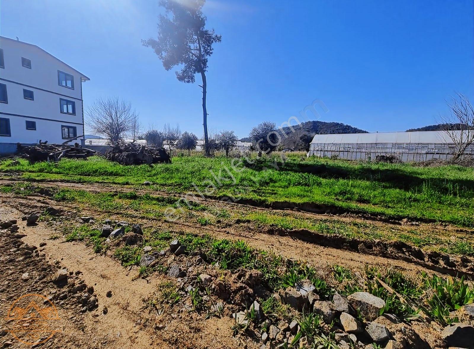 Köyceğiz Beyobası'nda 525 M2 Satılık Tarla