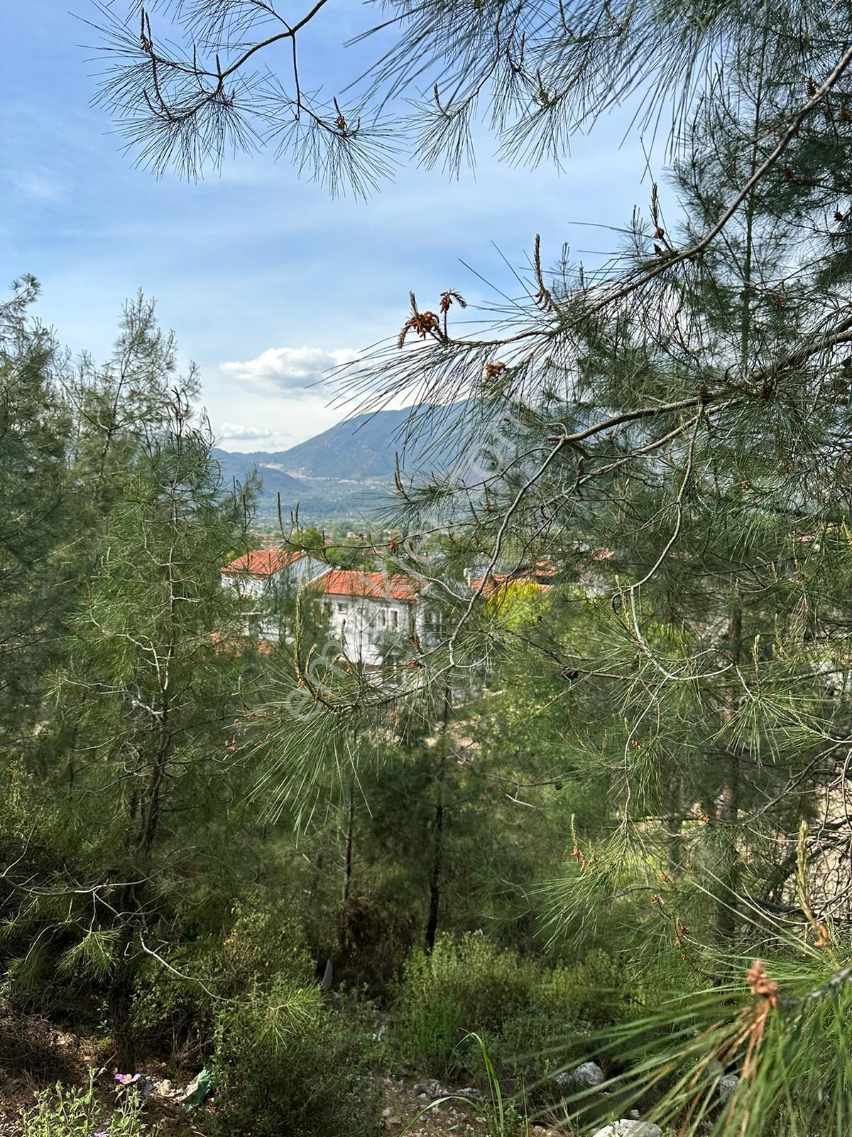 Fethiye Üzümlü'de Ormana Sıfır, %20/%40 İmarlı Müstakil Arsa - Görsel 7