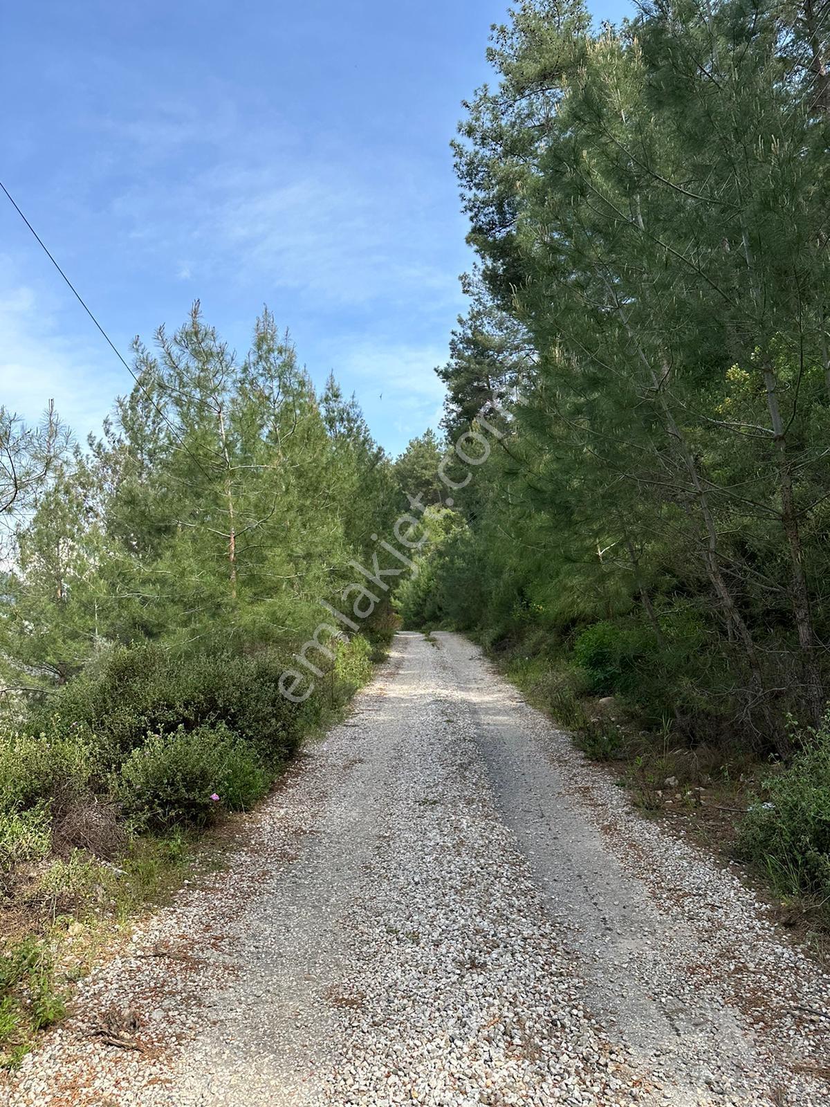 Fethiye Üzümlü'de Ormana Sıfır, %20/%40 İmarlı Müstakil Arsa - Görsel 8