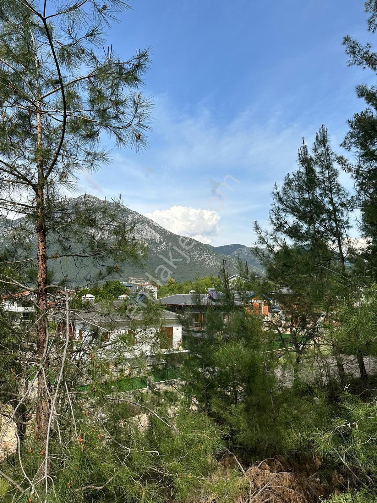 Fethiye Üzümlü'de Ormana Sıfır, %20/%40 İmarlı Müstakil Arsa - Görsel 10