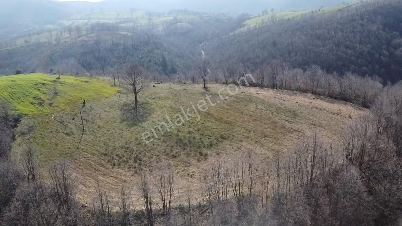 Çanakkale Biga Elmalı Köyünde 6.400 M2 Tarla - Görsel 10