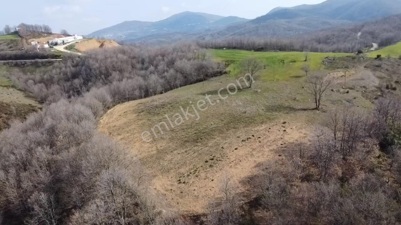 Çanakkale Biga Elmalı Köyünde 6.400 M2 Tarla - Görsel 9
