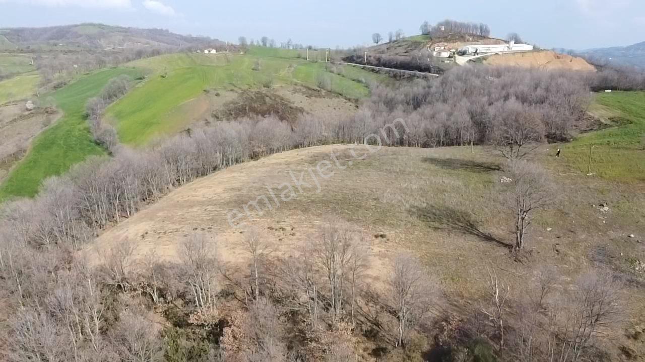 Çanakkale Biga Elmalı Köyünde 6.400 M2 Tarla - Görsel 8