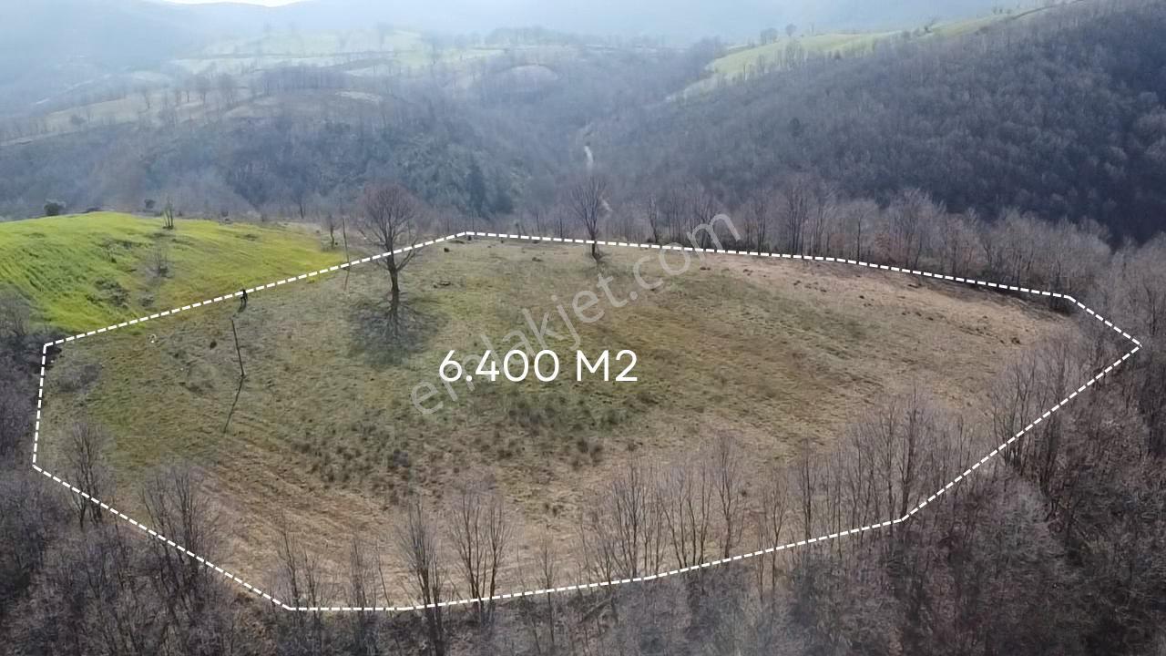 Çanakkale Biga Elmalı Köyünde 6.400 M2 Tarla - Görsel 5