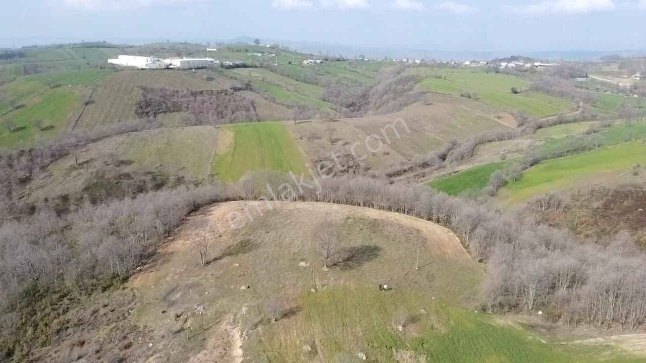 Çanakkale Biga Elmalı Köyünde 6.400 M2 Tarla - Görsel 13