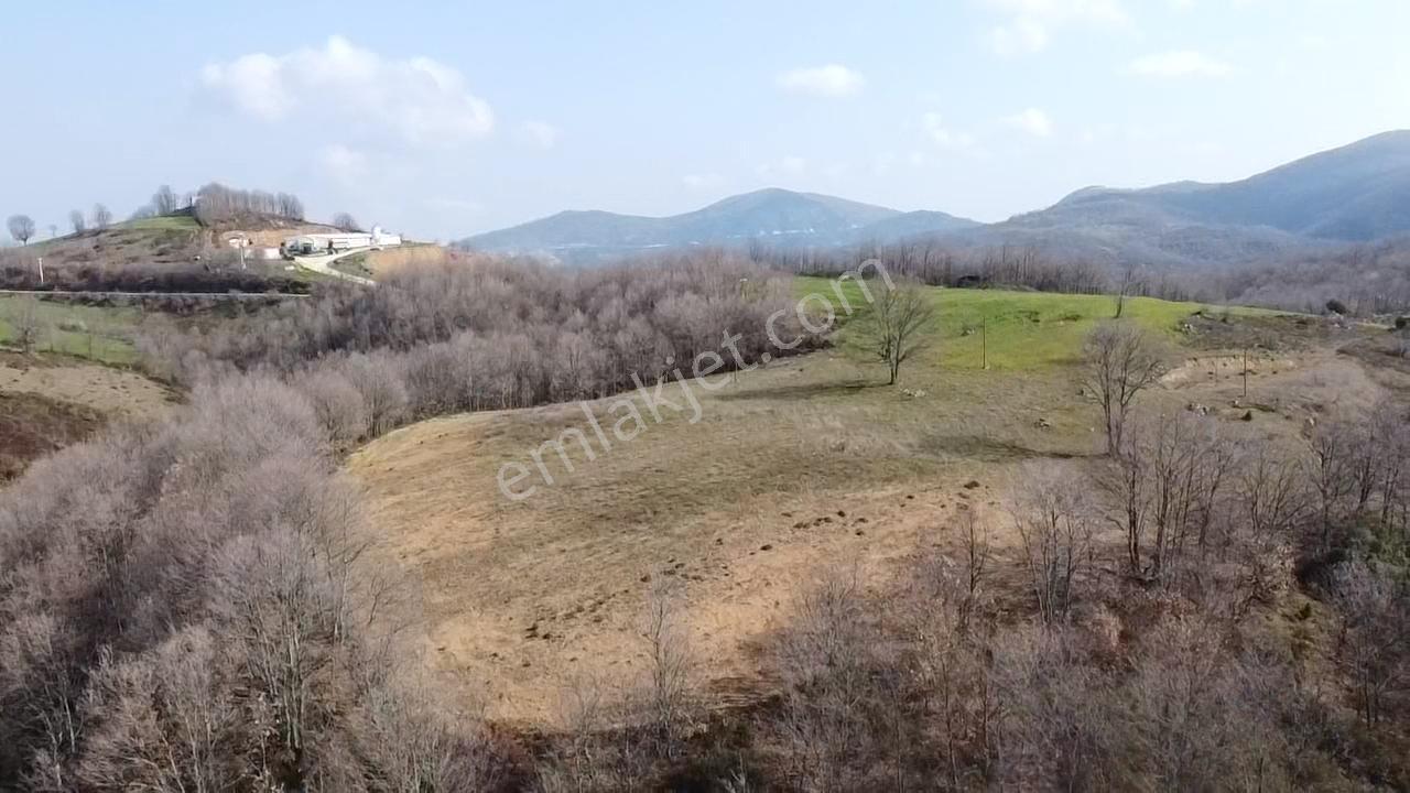 Çanakkale Biga Elmalı Köyünde 6.400 M2 Tarla - Görsel 7